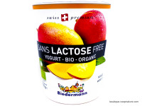 Yaourt Sans Lactose Mangue Bio 200g